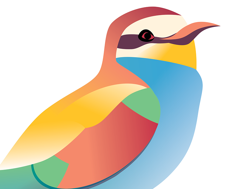 Les-40-printemps-de-Charlotte